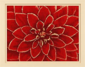 Photograph of product.